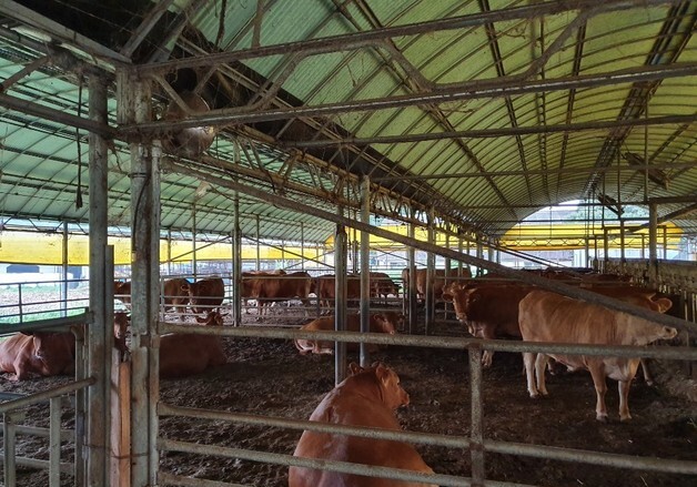 국내 자생 미생물로 이산화탄소 자원화…아세트산 생산성 '최고'