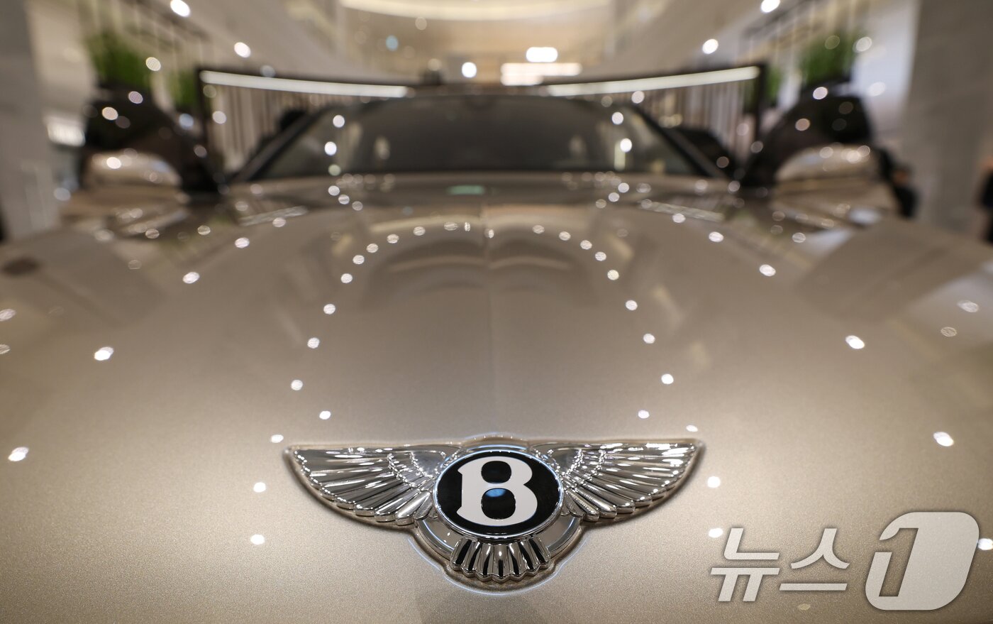 본문 이미지 - 17일 경기 성남시 분당구 현대백화점 판교점 1층 열린광장, 벤틀리서울 팝업 부스에서 열린 '더 뉴 벤테이가 스피드 미디어 포토세션'에서 '더 뉴 벤테이가 스피드'가 공개되고 있다. 2026.3.17 ⓒ 뉴스1 김영운 기자