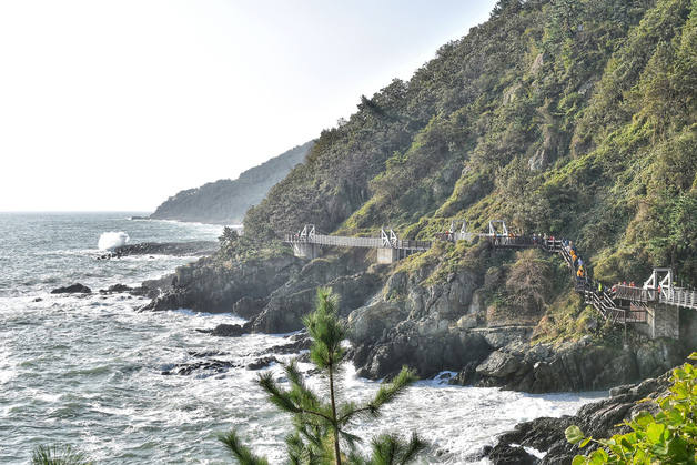 부산시, 갈맷길 전 구간 안전감찰…보행 위험 요인 원천 차단