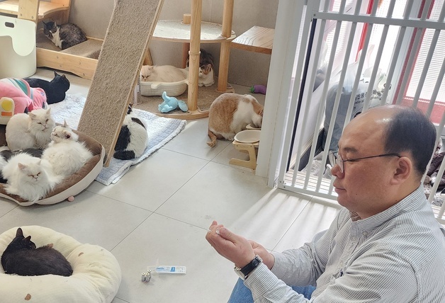 코벳-SKY동물메디컬센터, 고양이보호소서 봉사…"건강검진 필수"