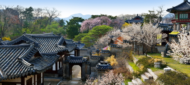 헌종의 애틋한 사랑 서린 이곳…해설로 만나는 '봄을 품은 낙선재'