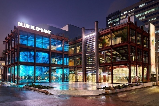 블루엘리펀트 "안경업계 특수성 반영 안 돼"…지재처 기소 반박