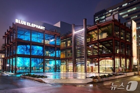 본문 이미지 - 블루엘리펀트 제공