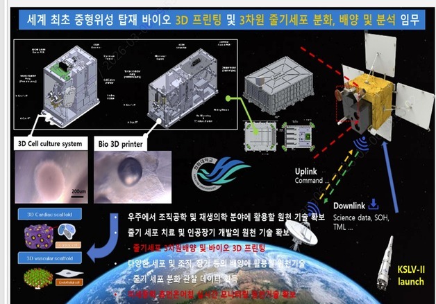우주서 '세포 배양·3D 프린팅' 성공…우주 바이오 연구 성과