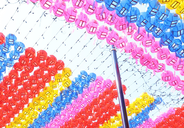 '평화를 위한 오체투지'