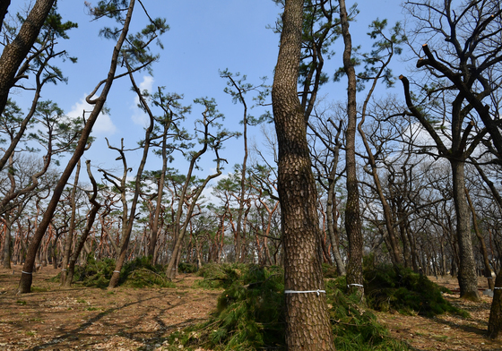 돌이킬 수 없는 전장 작업