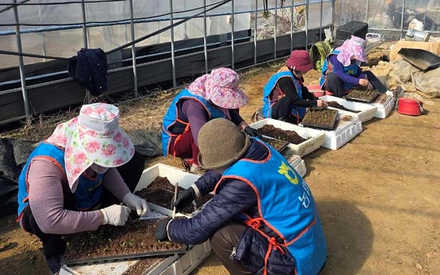 괴산 청천농협, 일손 부족 농가서 고추모 이식 지원