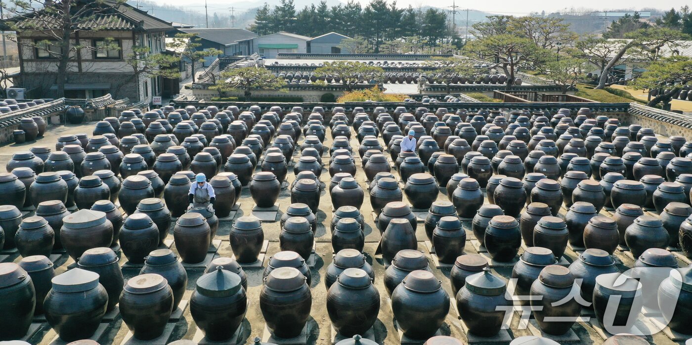 본문 이미지 - 절기상 춘분을 사흘 앞둔 17일 경기 안성시 일죽면 서일농원에서 직원들이 장독대를 닦고 있다. 2026.3.17 ⓒ 뉴스1 김영운 기자