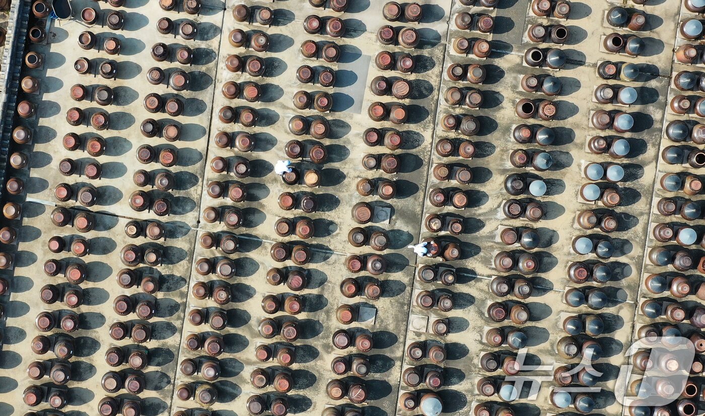 본문 이미지 - 절기상 춘분을 사흘 앞둔 17일 경기 안성시 일죽면 서일농원에서 직원들이 장독대를 닦고 있다. 2026.3.17 ⓒ 뉴스1 김영운 기자