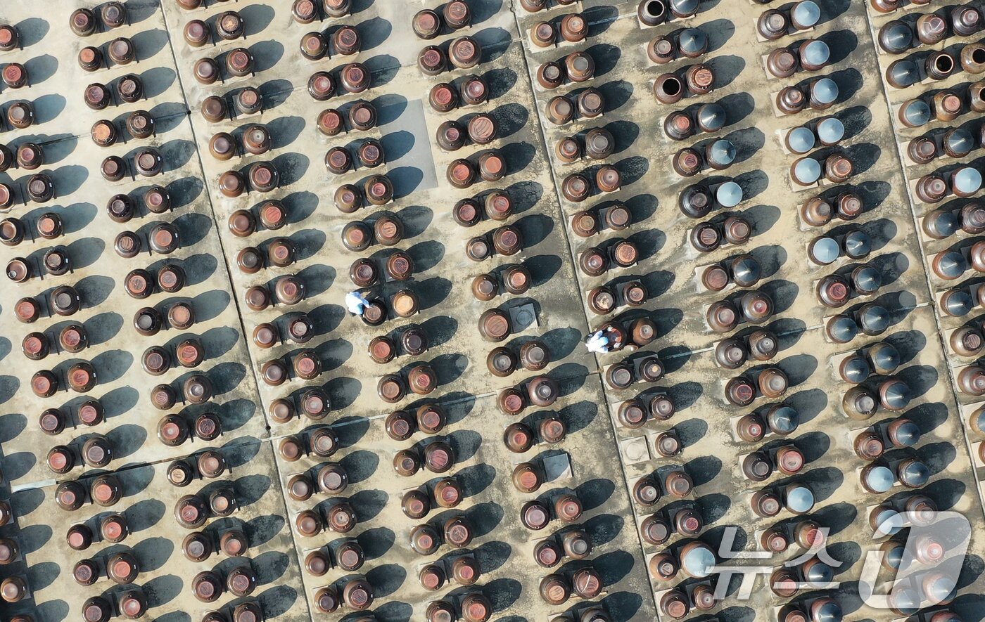 본문 이미지 - 절기상 춘분을 사흘 앞둔 17일 경기 안성시 일죽면 서일농원에서 직원들이 장독대를 닦고 있다. 2026.3.17 ⓒ 뉴스1 김영운 기자