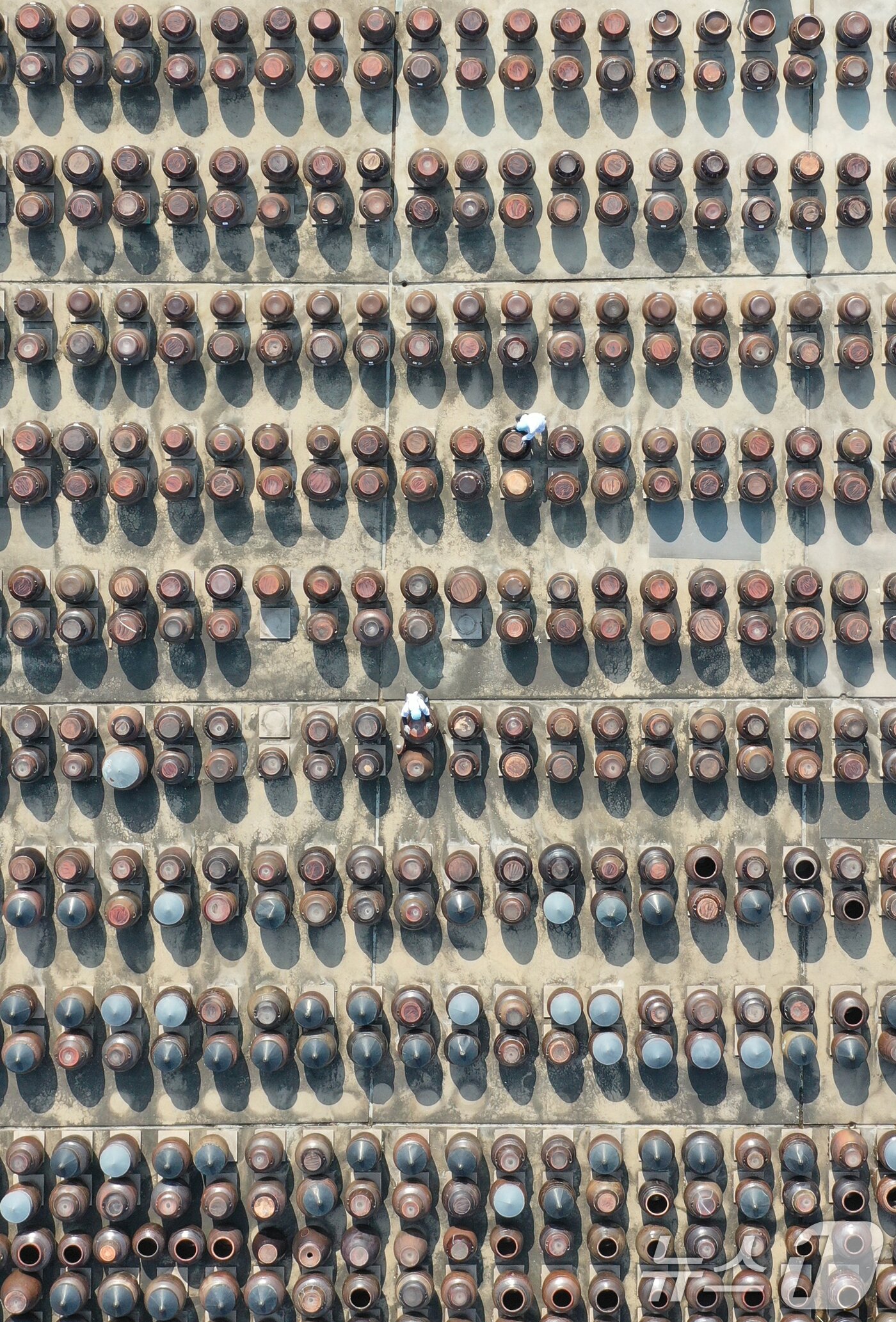 본문 이미지 - 절기상 춘분을 사흘 앞둔 17일 경기 안성시 일죽면 서일농원에서 직원들이 장독대를 닦고 있다. 2026.3.17 ⓒ 뉴스1 김영운 기자