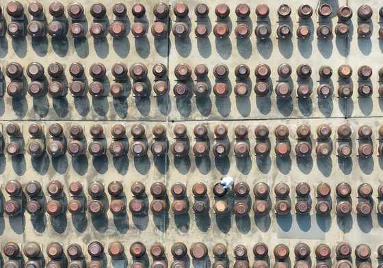 사흘 앞으로 다가온 춘분