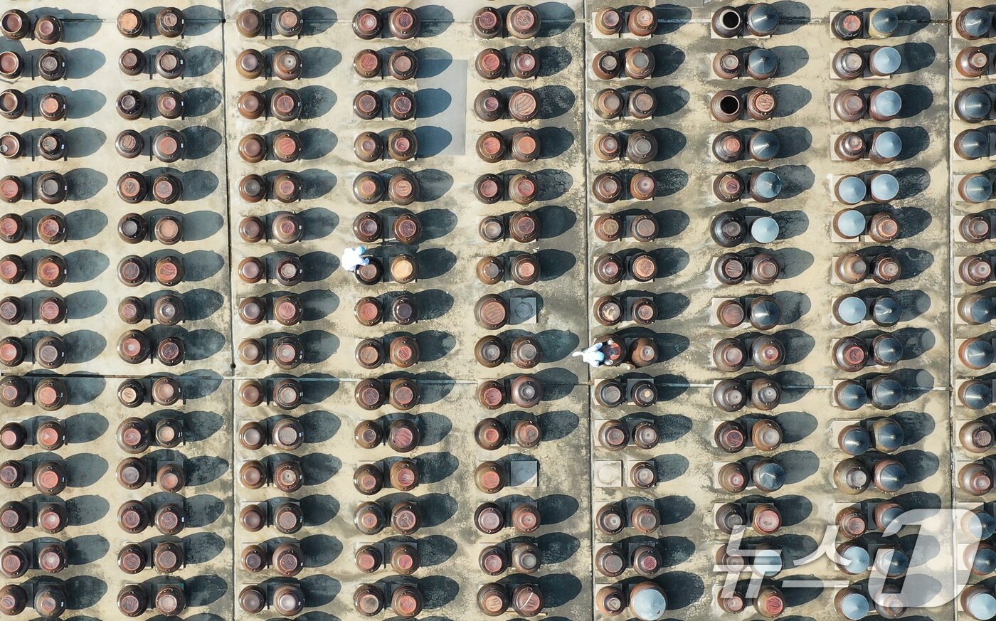 본문 이미지 - 절기상 춘분을 사흘 앞둔 17일 경기 안성시 일죽면 서일농원에서 직원들이 장독대를 닦고 있다. 2026.3.17 ⓒ 뉴스1 김영운 기자