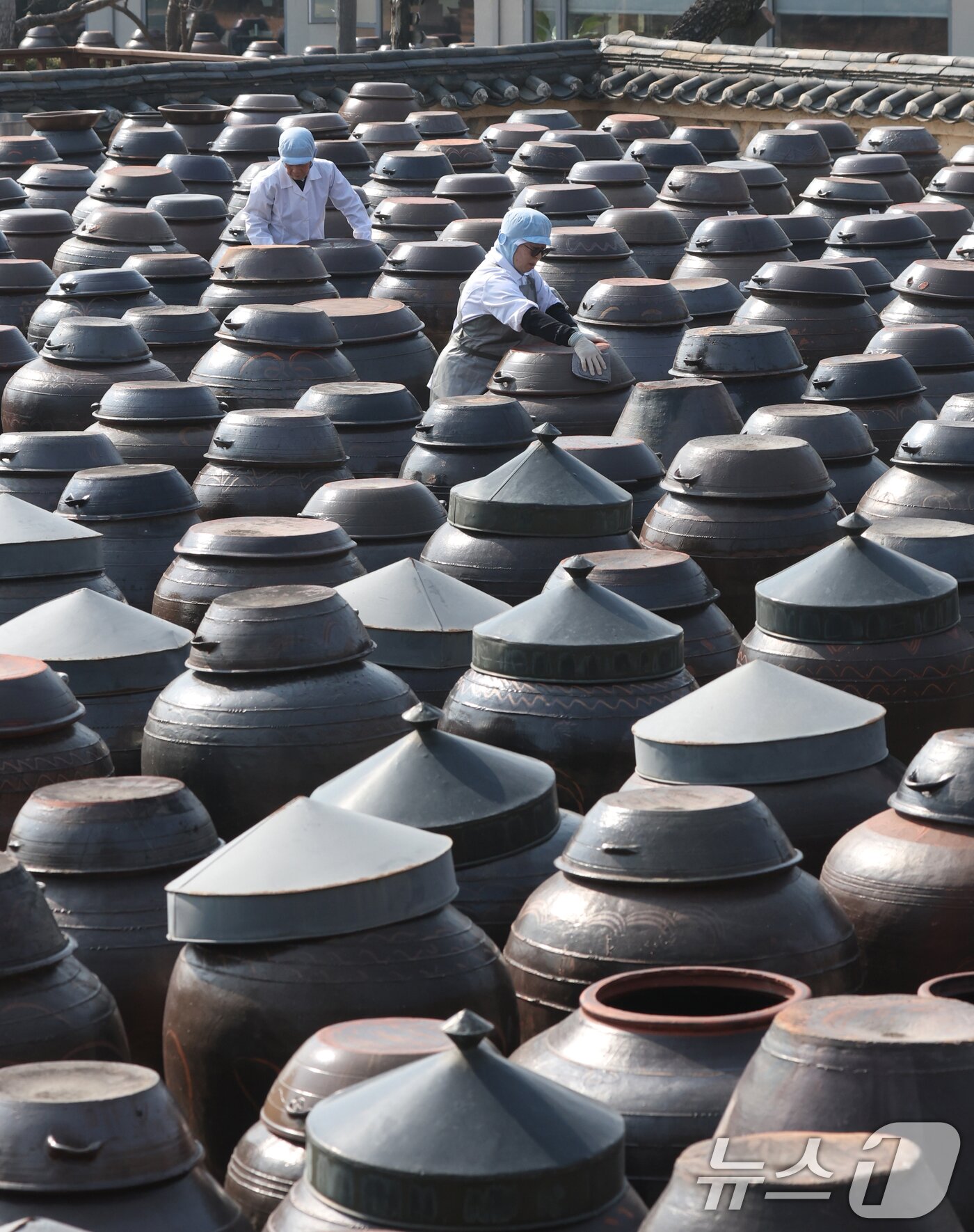 본문 이미지 - 절기상 춘분을 사흘 앞둔 17일 경기 안성시 일죽면 서일농원에서 직원들이 장독대를 닦고 있다. 2026.3.17 ⓒ 뉴스1 김영운 기자
