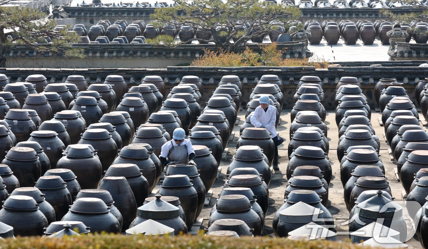 본문 이미지 - 절기상 춘분을 사흘 앞둔 17일 경기 안성시 일죽면 서일농원에서 직원들이 장독대를 닦고 있다. 2026.3.17 ⓒ 뉴스1 김영운 기자