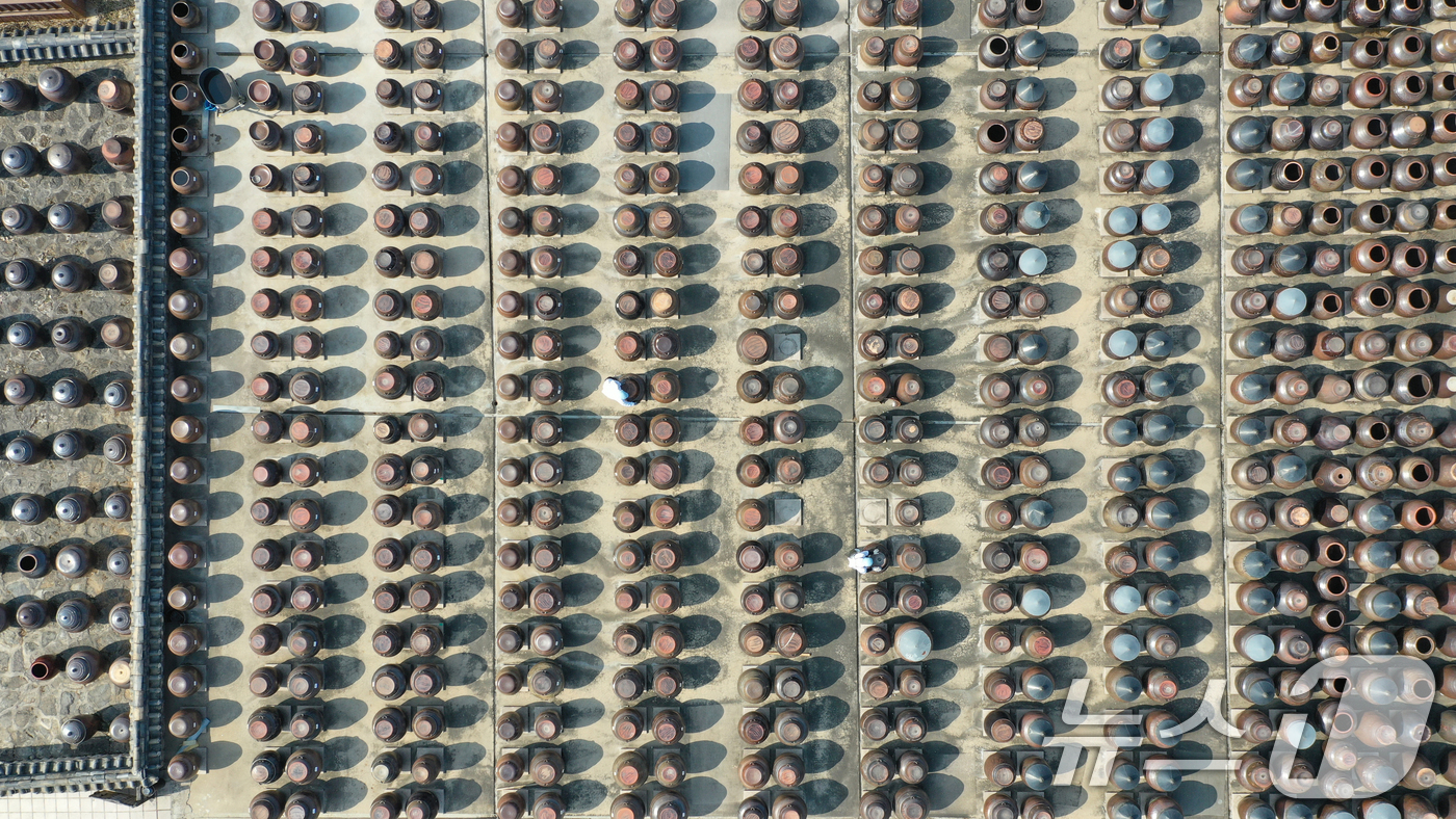 (안성=뉴스1) 김영운 기자 = 절기상 춘분을 사흘 앞둔 17일 경기 안성시 일죽면 서일농원에서 직원들이 장독대를 닦고 있다. 2026.3.17/뉴스1