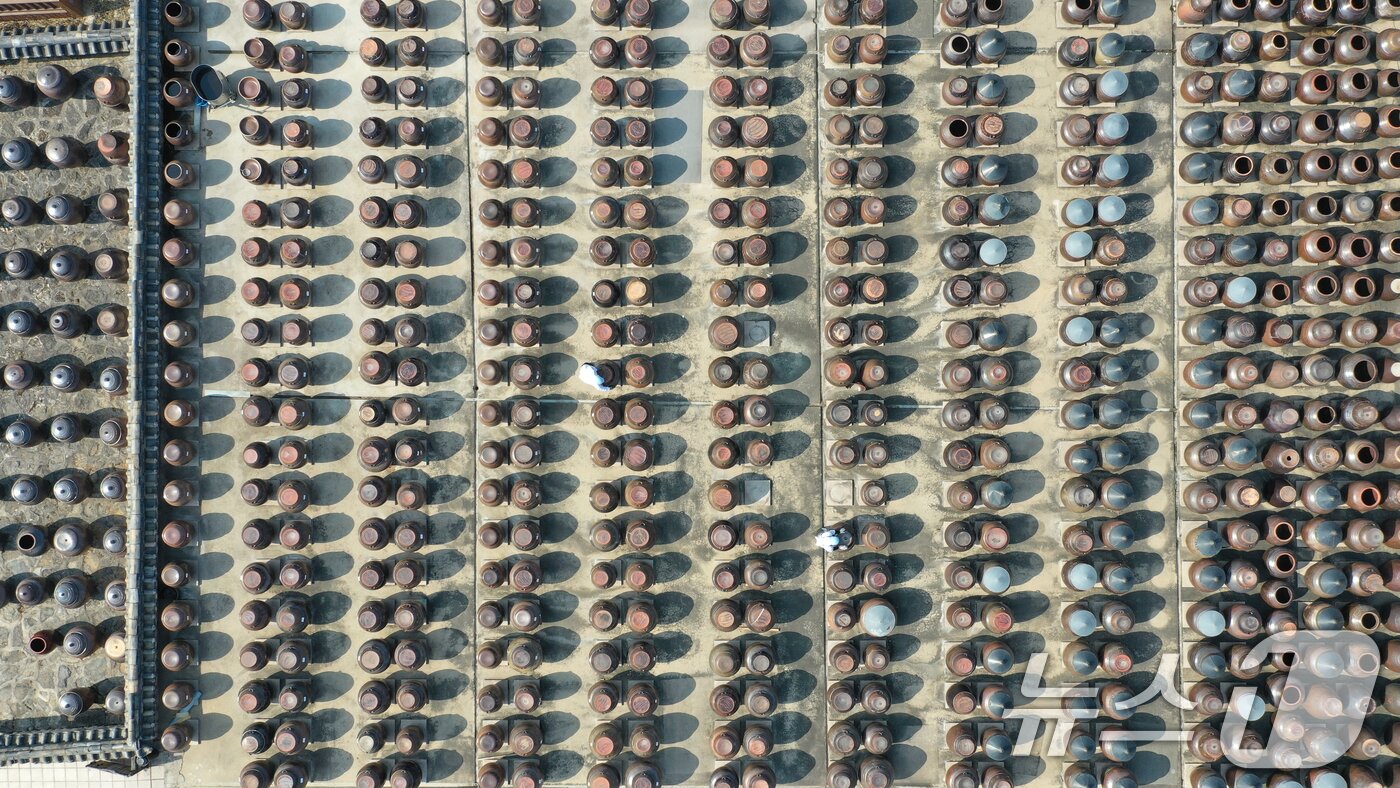 본문 이미지 - 절기상 춘분을 사흘 앞둔 17일 경기 안성시 일죽면 서일농원에서 직원들이 장독대를 닦고 있다. 2026.3.17 ⓒ 뉴스1 김영운 기자