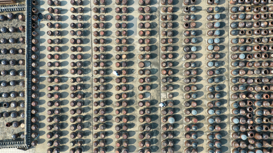 봄기운 담은 장독대