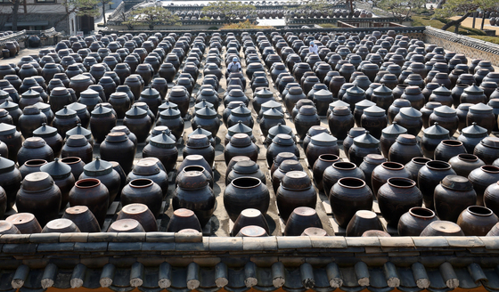 춘분 앞둔 봄 풍경