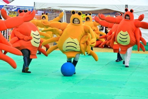 제29회 영덕대게 축제 26일 팡파르…'해파랑 공원 놀러오세요'