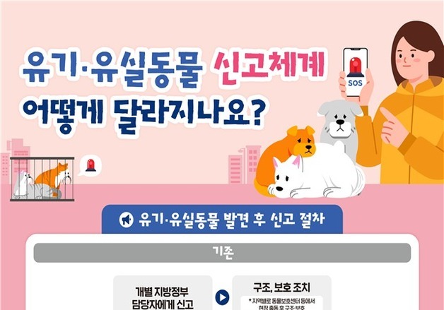 유실유기동물 발견시 상시 신고 가능해졌다…1577-0954 개설