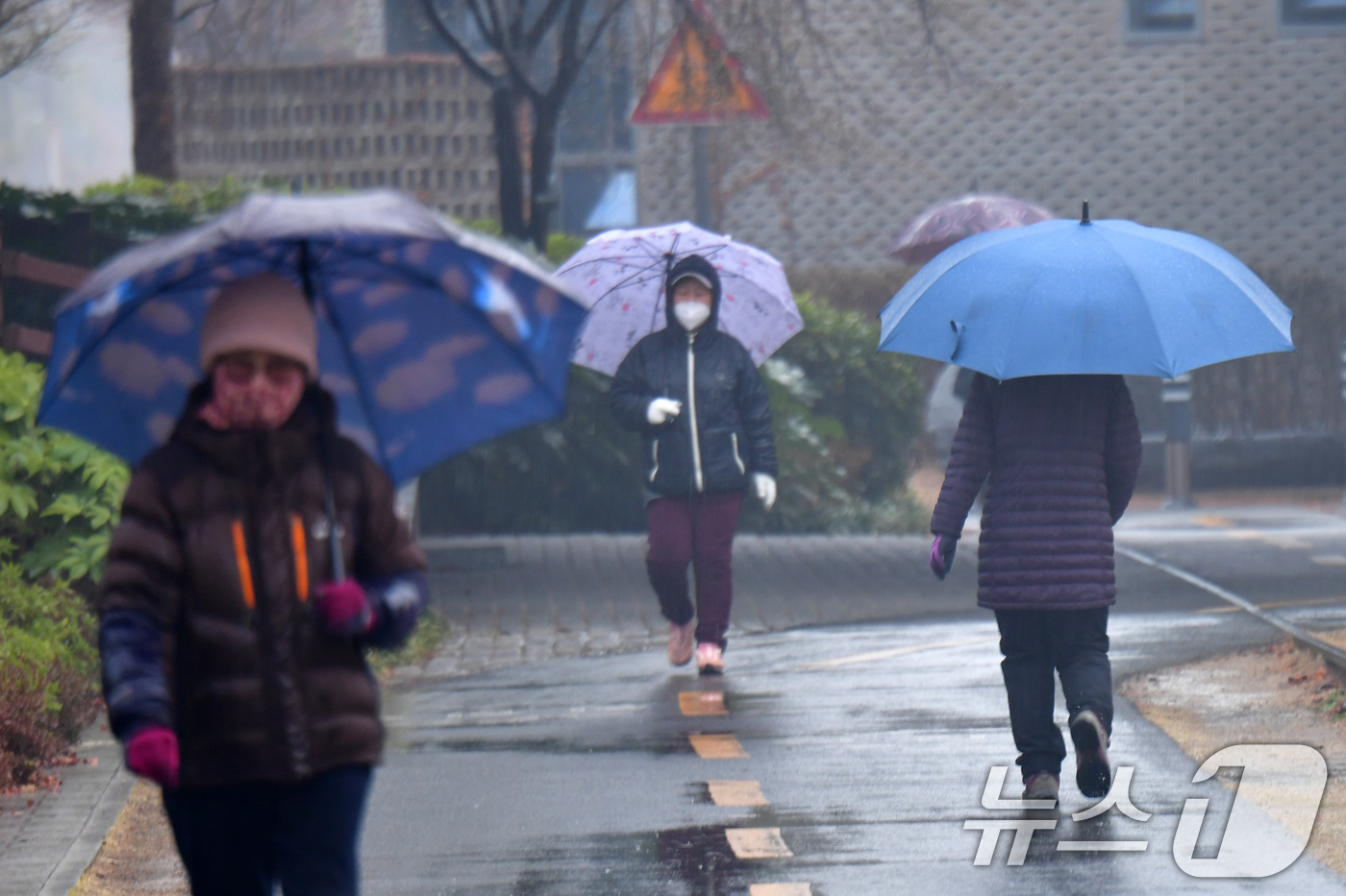 (포항=뉴스1) 최창호 기자 = 18일 오전 경북 포항시 전역에 봄비가 내리는 가운데 남구 대잠동 철길 숲에서 시민들이 걸어가고 있다. 2026.3.18/뉴스1