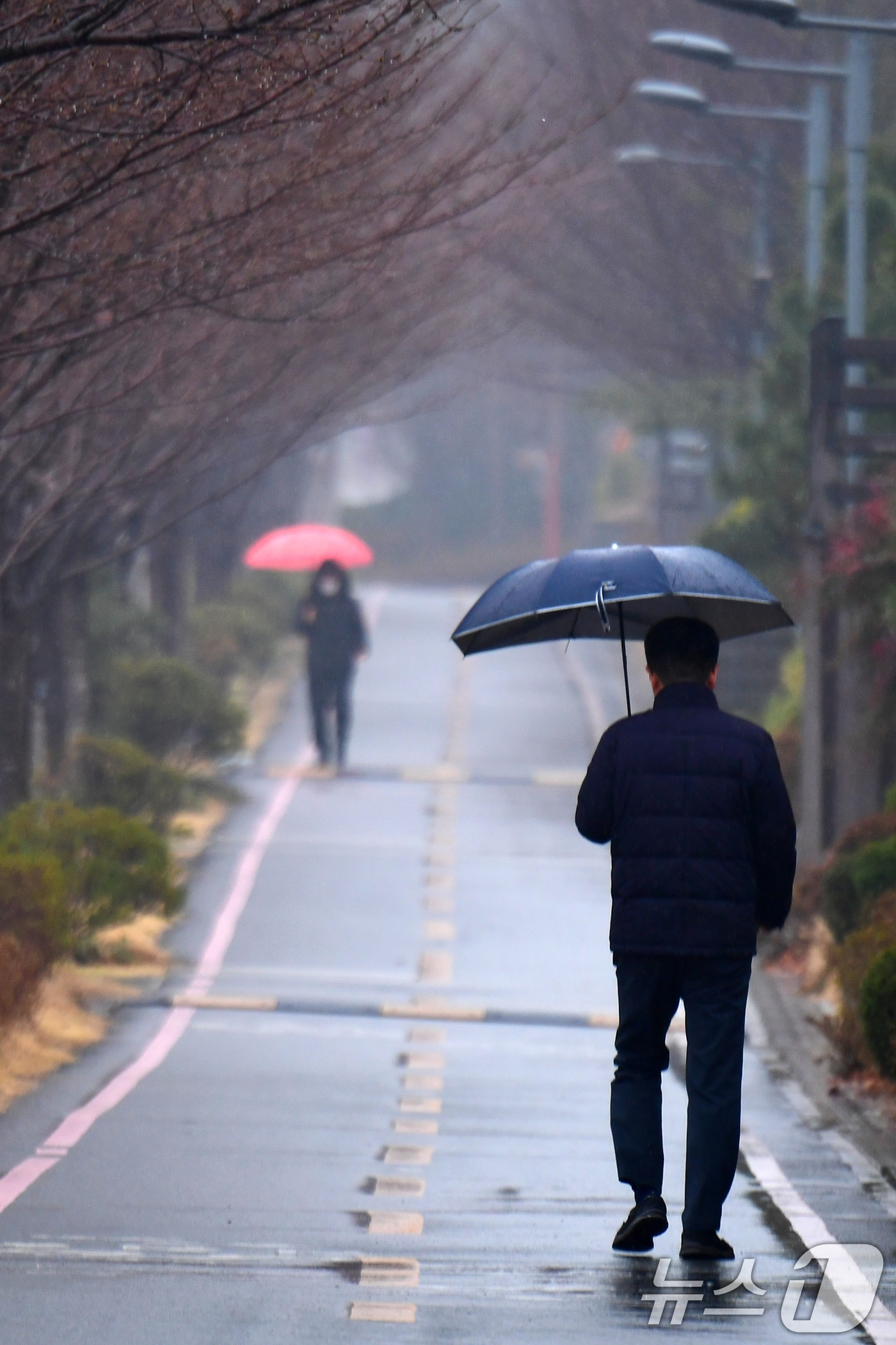 (포항=뉴스1) 최창호 기자 = 18일 오전 경북 포항시 전역에 봄비가 내리는 가운데 남구 대잠동 철길 숲에서 시민들이 걸어가고 있다. 2026.3.18/뉴스1
