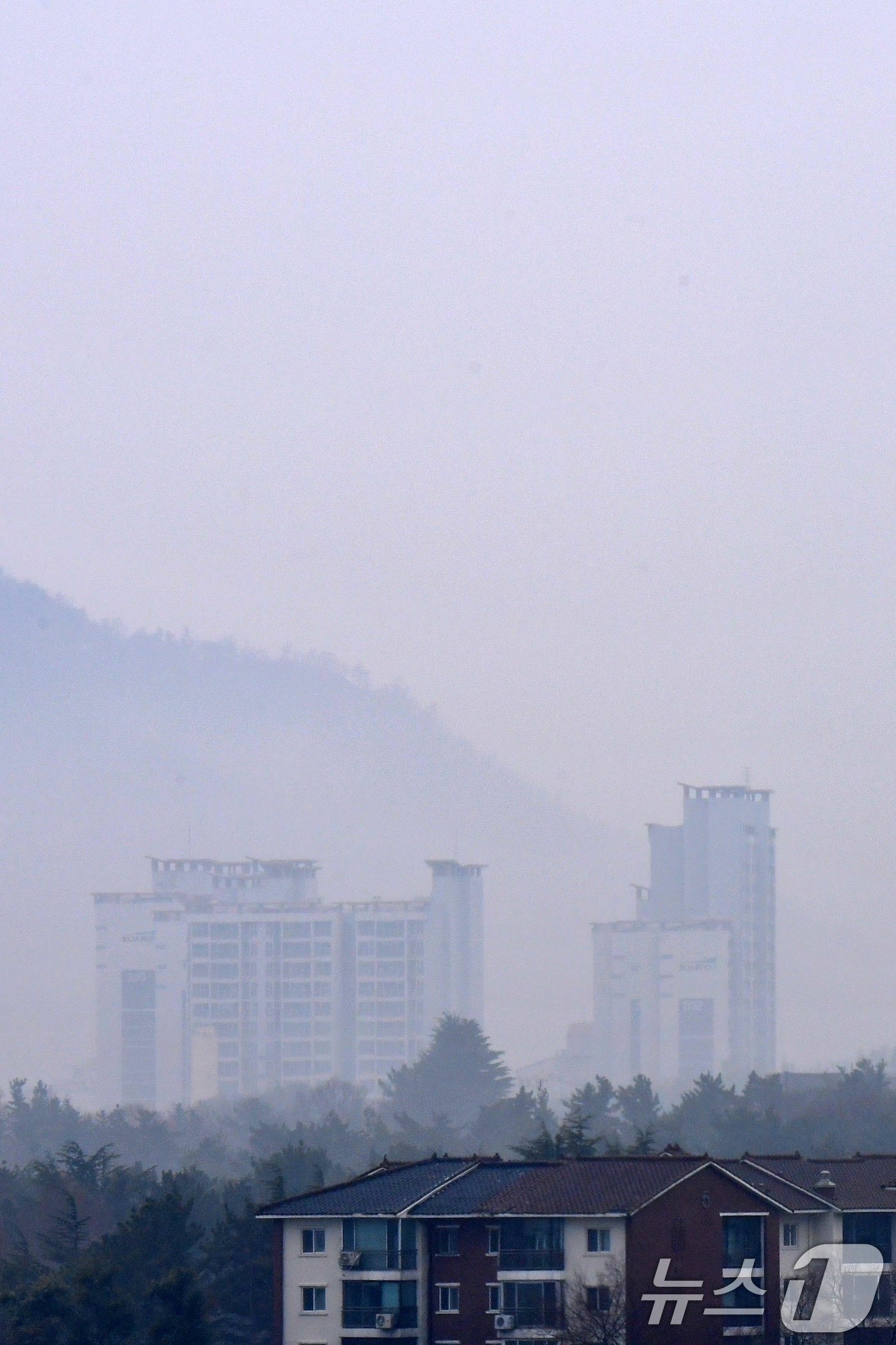 (포항=뉴스1) 최창호 기자 = 18일 오전 경북 포항시 전역에 봄비가 내리는 가운데 남구 연일읍에 있는 고층 아파트 주변이 안개에 덮여있다. 2026.3.18/뉴스1