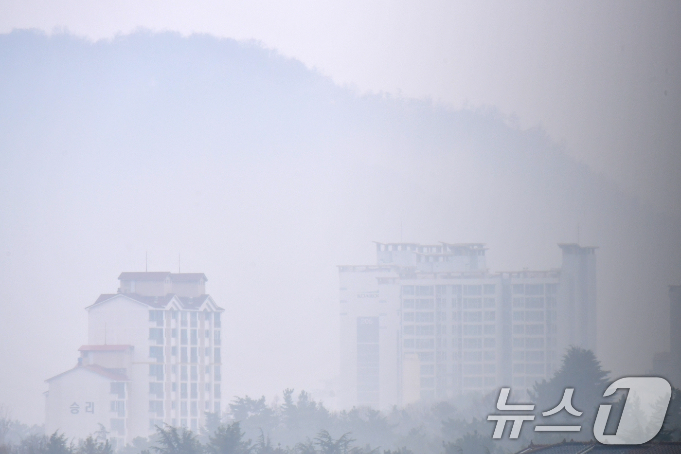 (포항=뉴스1) 최창호 기자 = 18일 오전 경북 포항시 전역에 봄비가 내리는 가운데 남구 연일읍에 있는 고층 아파트 주변이 안개에 덮여있다. 2026.3.18/뉴스1