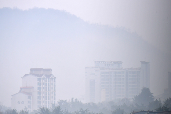 봄비 내리는 아침