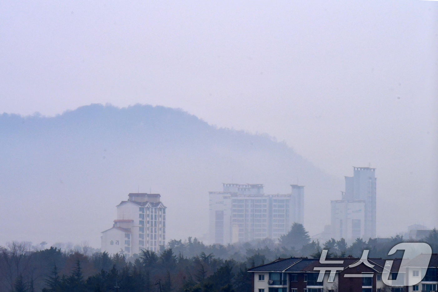 (포항=뉴스1) 최창호 기자 = 18일 오전 경북 포항시 전역에 봄비가 내리는 가운데 남구 연일읍에 있는 고층 아파트 주변이 안개에 덮여있다.  2026.3.18/뉴스1