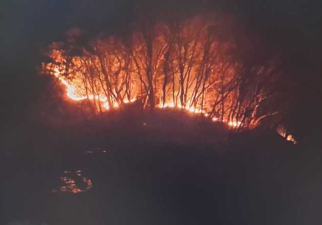 춘천 컨테이너 화재 산불로 번져…사유림 0.3㏊ 소실