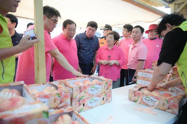 세종시, 고향사랑기부 답례품 63개로 확대…복숭아 굿즈 추가