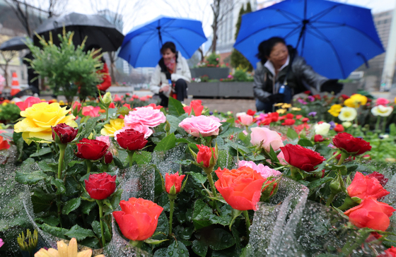 봄비 내리다 오전에 그쳐…낮 최고 21도 '따뜻'(종합)