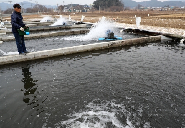 중동 상황으로 가격상승 대비…해수부, 내일 양어사료 업계 간담회 개최