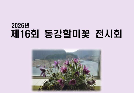 제16회 동강할미꽃 전시회 20~22일 개최