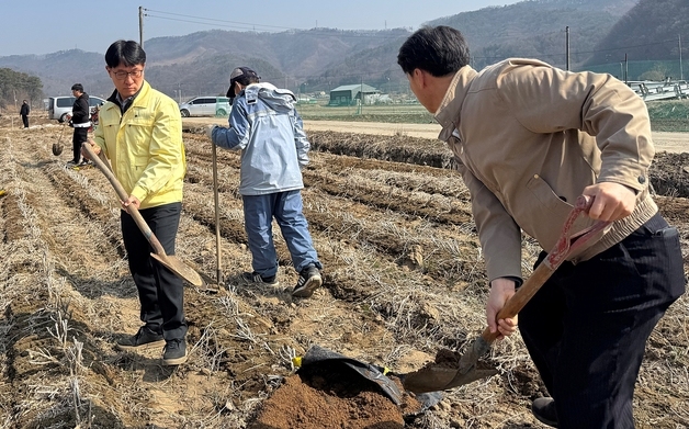 농협 괴산군지부, 사회봉사대상자 활용 농촌 일손 돕기 추진