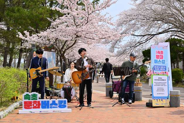 영랑호 벚꽃축제 무대 선다…속초 버스킹 참여자 모집