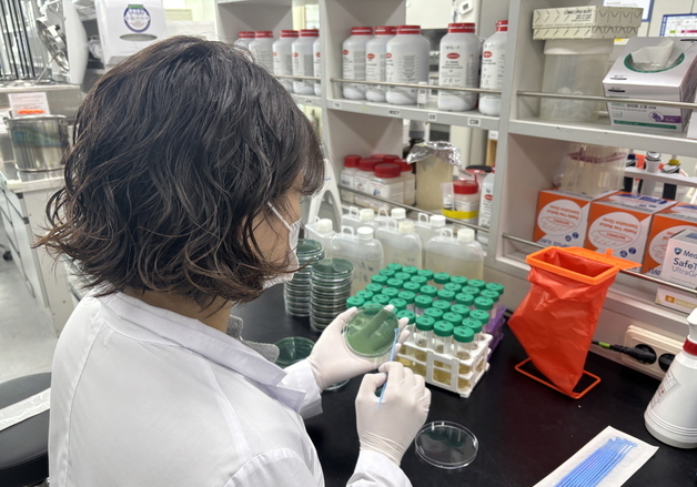 영광 갯벌서 첫 비브리오패혈증균 검출…"어패류 익혀 먹어야"