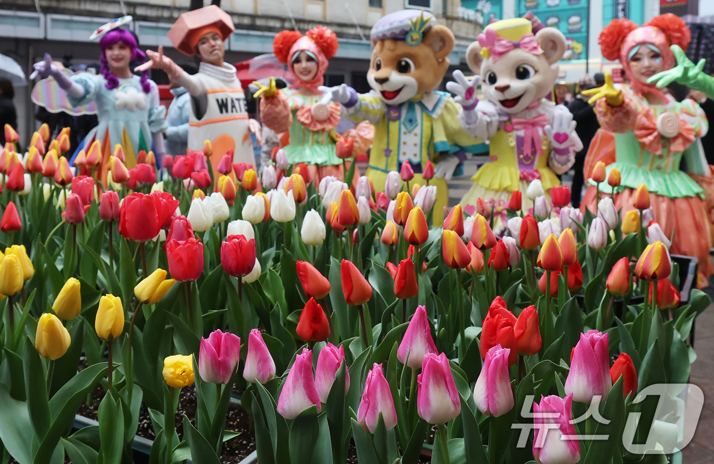 (서울=뉴스1) 오대일 기자 = 18일 오후 서울 중구 명동거리에서 얄린 '도심에서 미리 만나는 에버랜드 튤립축제' 캠페인에서 에버랜드 공연 연기자들이 포즈를 취하고 있다.튤립, …