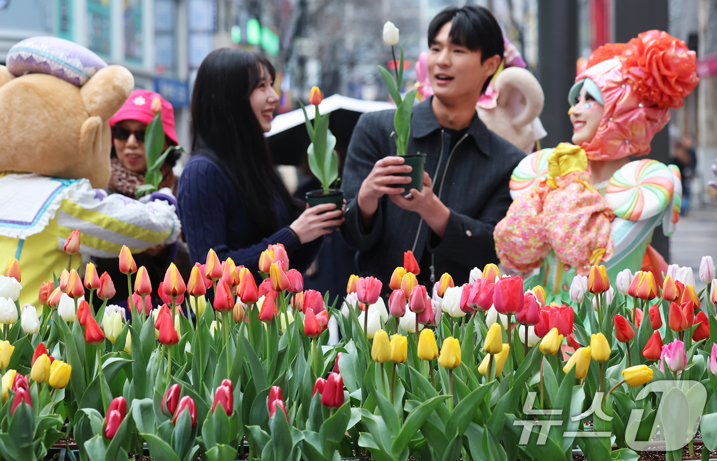 (서울=뉴스1) 오대일 기자 = 18일 오후 서울 중구 명동거리에서 얄린 '도심에서 미리 만나는 에버랜드 튤립축제' 캠페인에서 에버랜드 공연 연기자들이 시민들에게 싱그러운 튤립 화 …