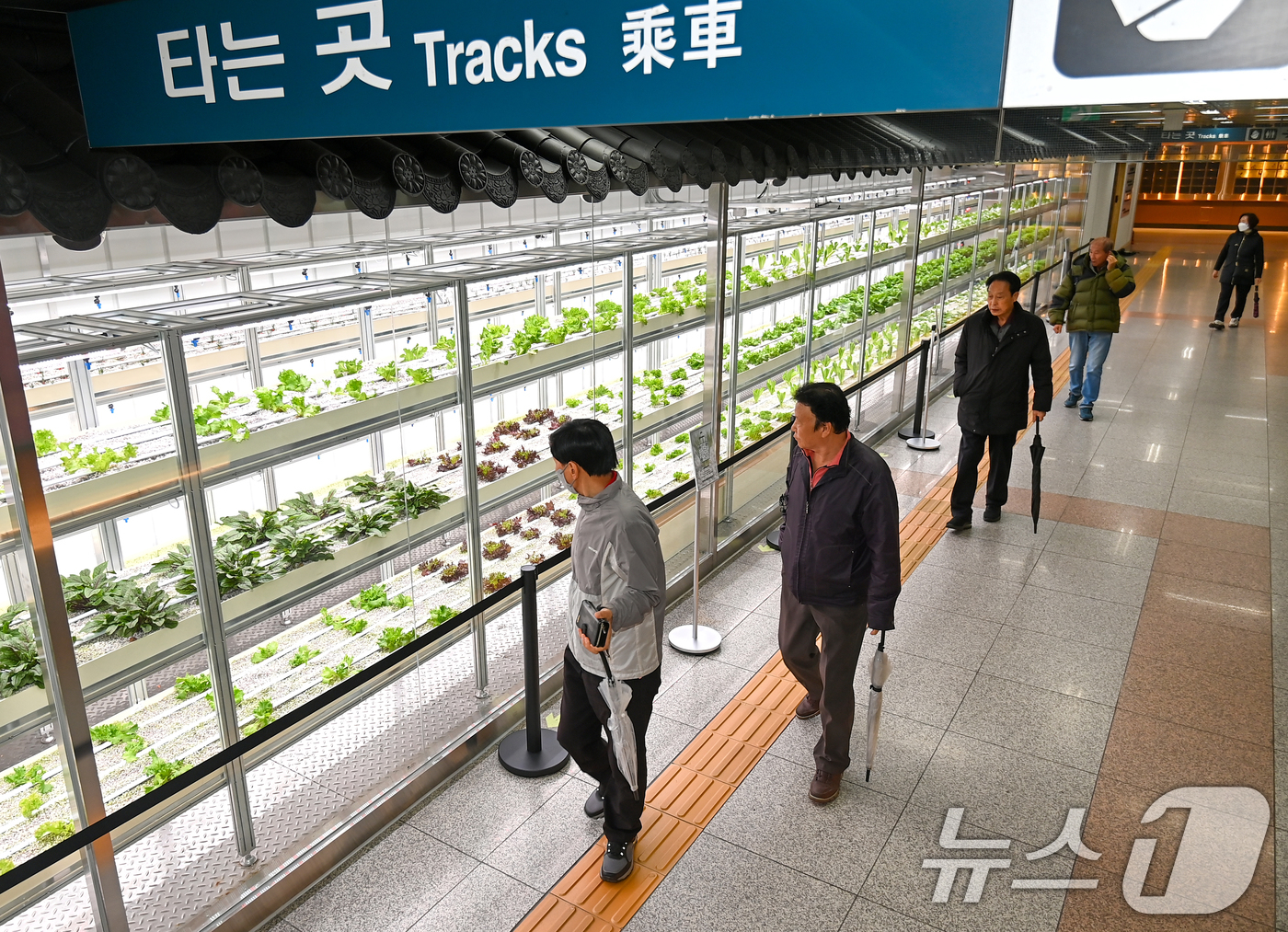 (대전=뉴스1) 김기태 기자 = 18일 대전도시철도 대전역에서 시민들이 유휴공간을 활용한 스마트팜 ‘대전팜’을 지나고 있다.대전시는 도심 내 유휴공간을 활용한 스마트팜 ‘대전팜’6 …