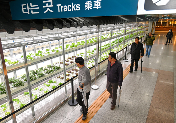 지하철에 농장이