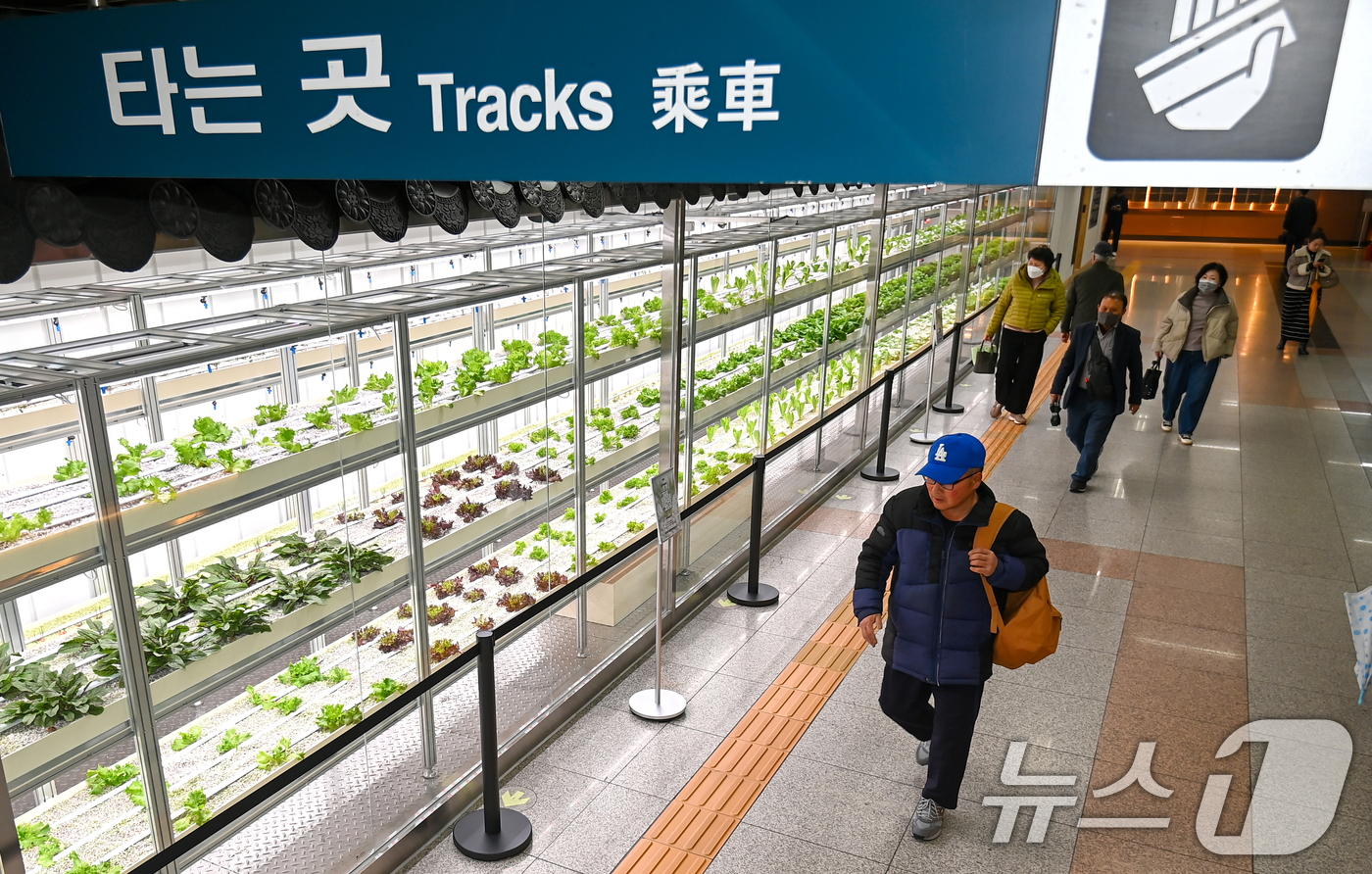 (대전=뉴스1) 김기태 기자 = 18일 대전도시철도 대전역에서 시민들이 유휴공간을 활용한 스마트팜 ‘대전팜’을 지나고 있다.대전시는 도심 내 유휴공간을 활용한 스마트팜 ‘대전팜’6 …