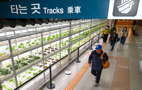 지하철 타러 가는 길