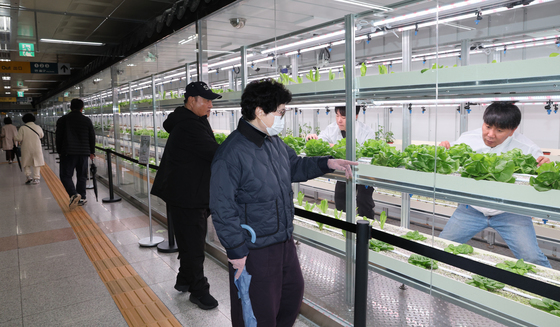 지하철에 설치된 스마트팜