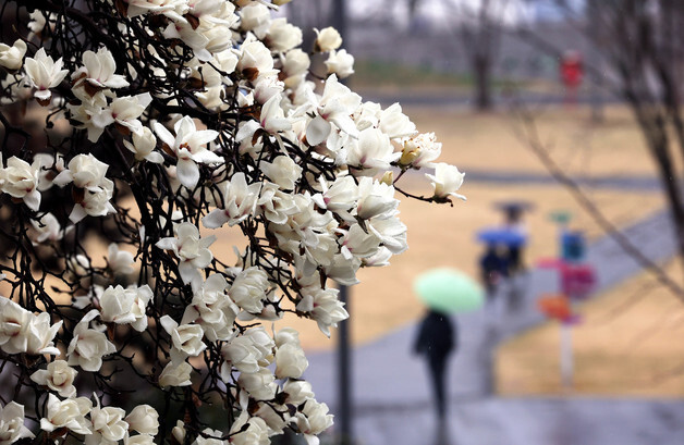[오늘의 날씨] 광주·전남(21일, 토)…구례 낮기온 19도