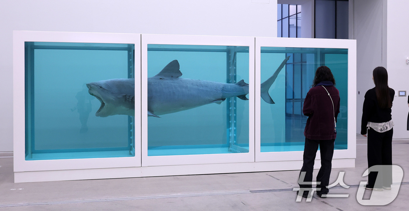 (서울=뉴스1) 박지혜 기자 = 18일 오전 서울 종로구 국립현대미술관 서울에서 열린 세계적인 현대미술 거장 데이미언 허스트 개인전 '진실은 없어 그러나 모든 것은 가능하지' 기자 …