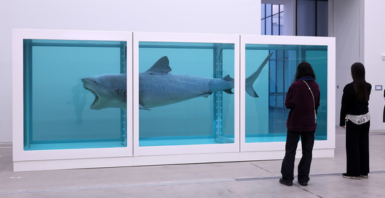 상어 데리고 서울 온 데이미언 허스트