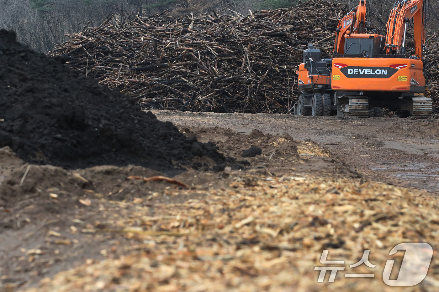 (안동=뉴스1) 공정식 기자 = 18일 경북 안동시 일직면의 한 야산에서 산립조합 벌목작업반이 지난해 산불로 고사한 나무를 제거하고 있다. 2026.3.18/뉴스1